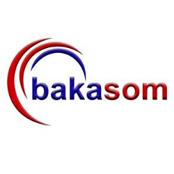 Bakasom Automotivo