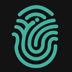 Kandu Digital