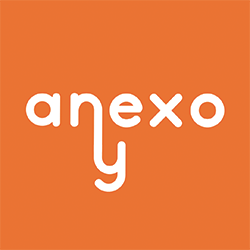 Anexo Y